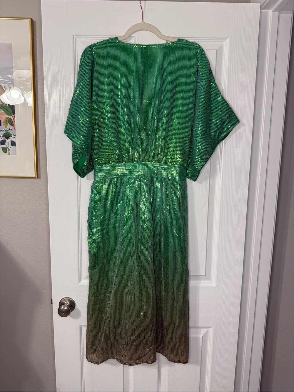 Bhanuni by Jyoti Green Ombré Sequin Dress - Picture 5 of 6